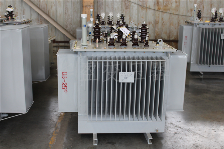 淮南S20-800kVA/10kV/0.4kV变压器